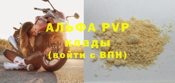 стаф Краснослободск