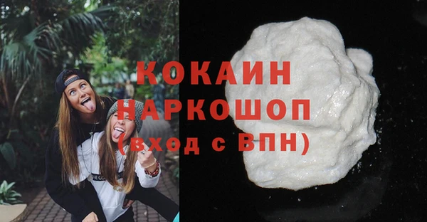 стаф Краснослободск